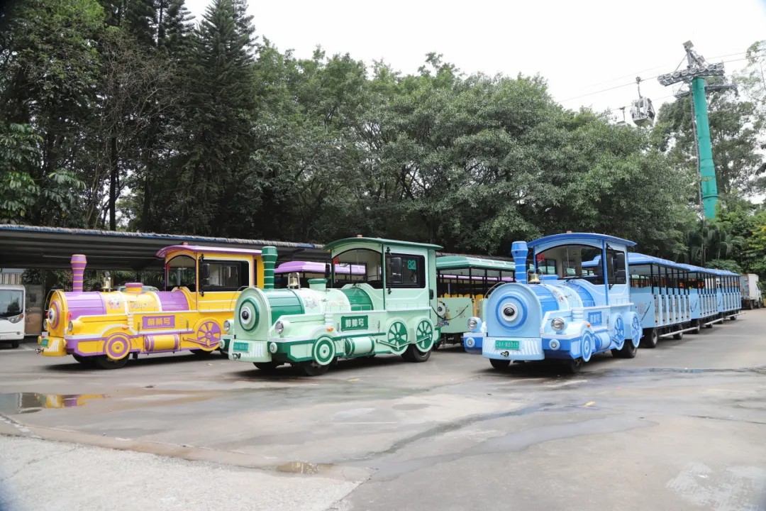 4萬公里 ，100%出勤率！宇通觀光車助力長隆打造沉浸式生態(tài)之旅